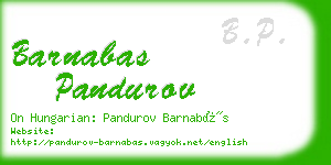 barnabas pandurov business card